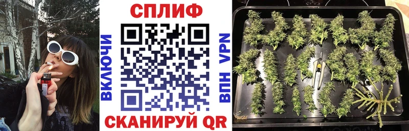 МАРИХУАНА семена  Купить  Киренск 
